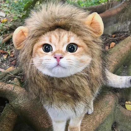 Lion Mane Cat Wig Costume – Funny Pet Lion Hat for Cats, Kittens & Small Dogs, Cosplay Photo Prop & Party Accessory