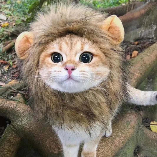 Lion Mane Cat Wig Costume – Funny Pet Lion Hat for Cats, Kittens & Small Dogs, Cosplay Photo Prop & Party Accessory