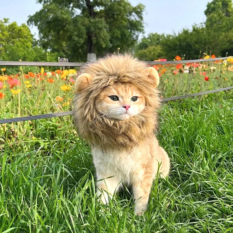 Lion Mane Cat Wig Costume – Funny Pet Lion Hat for Cats, Kittens & Small Dogs, Cosplay Photo Prop & Party Accessory